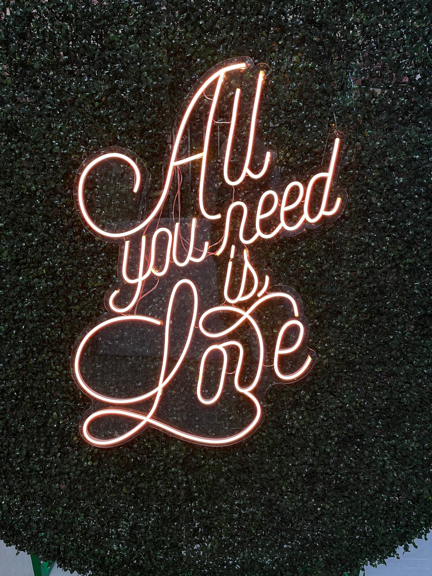 Neon Sign "All You Need is Love"