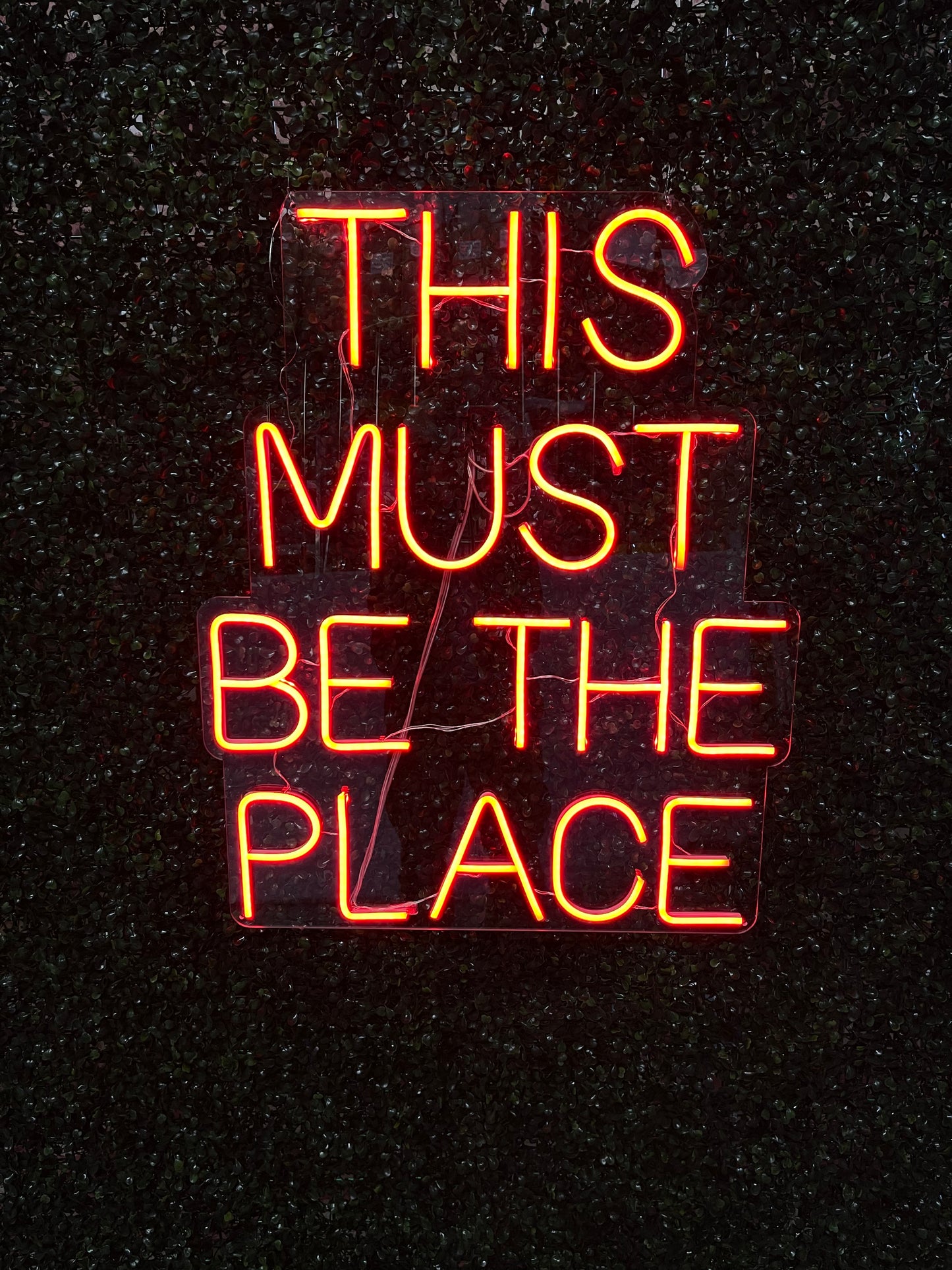 Neon Sign "This Must Be The Place"