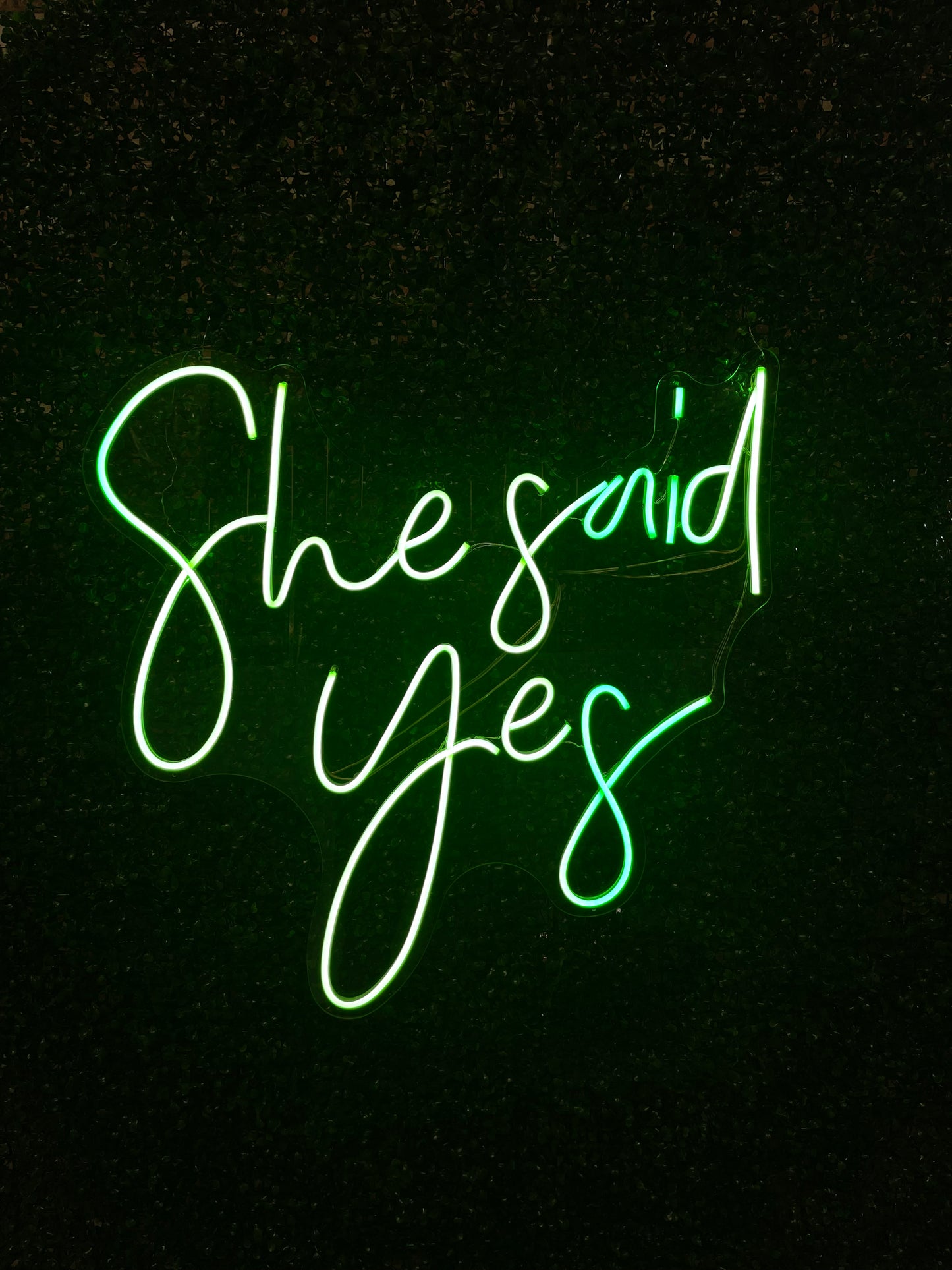 Neon Sign "She Said Yes"