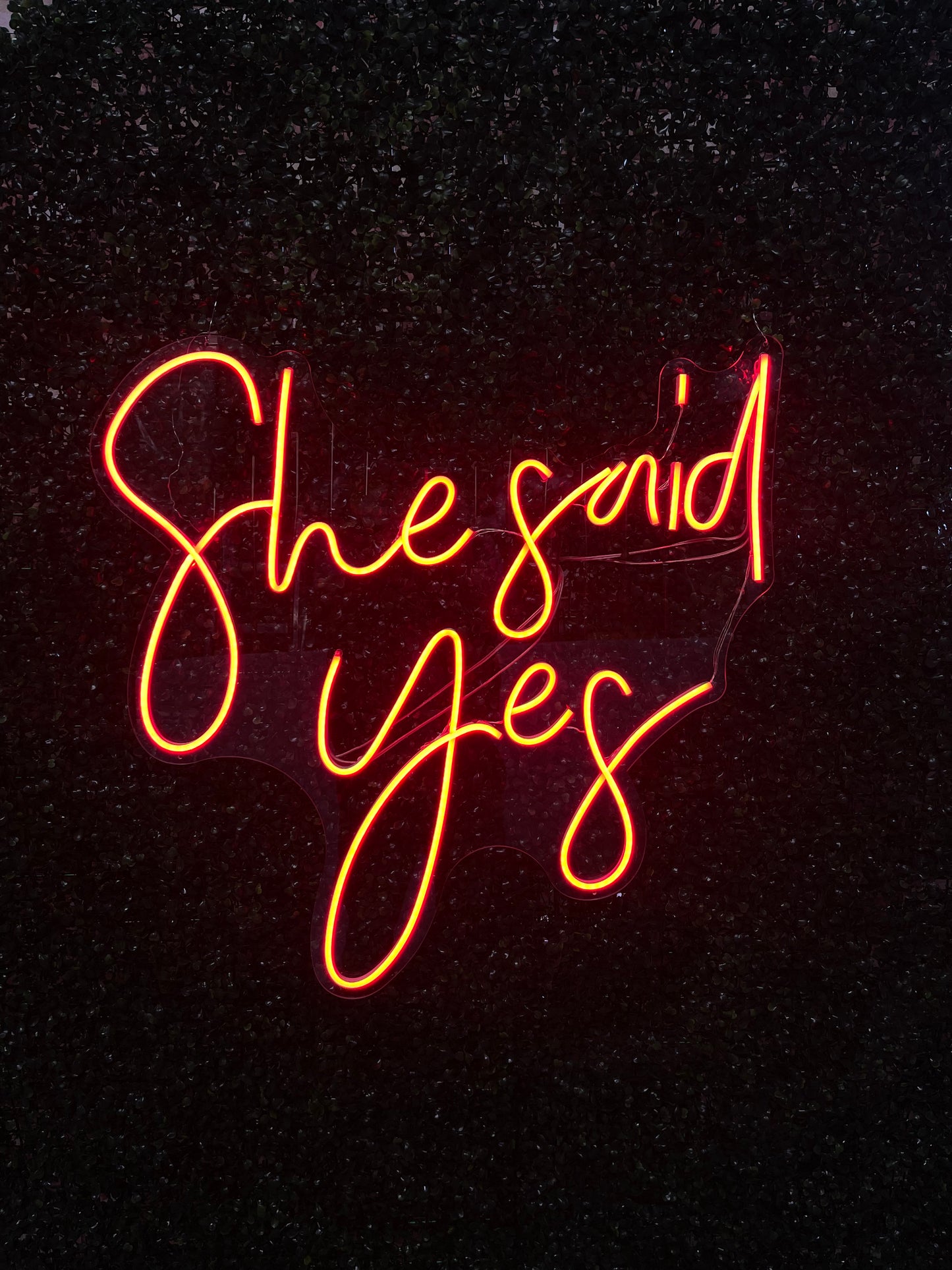 Neon Sign "She Said Yes"