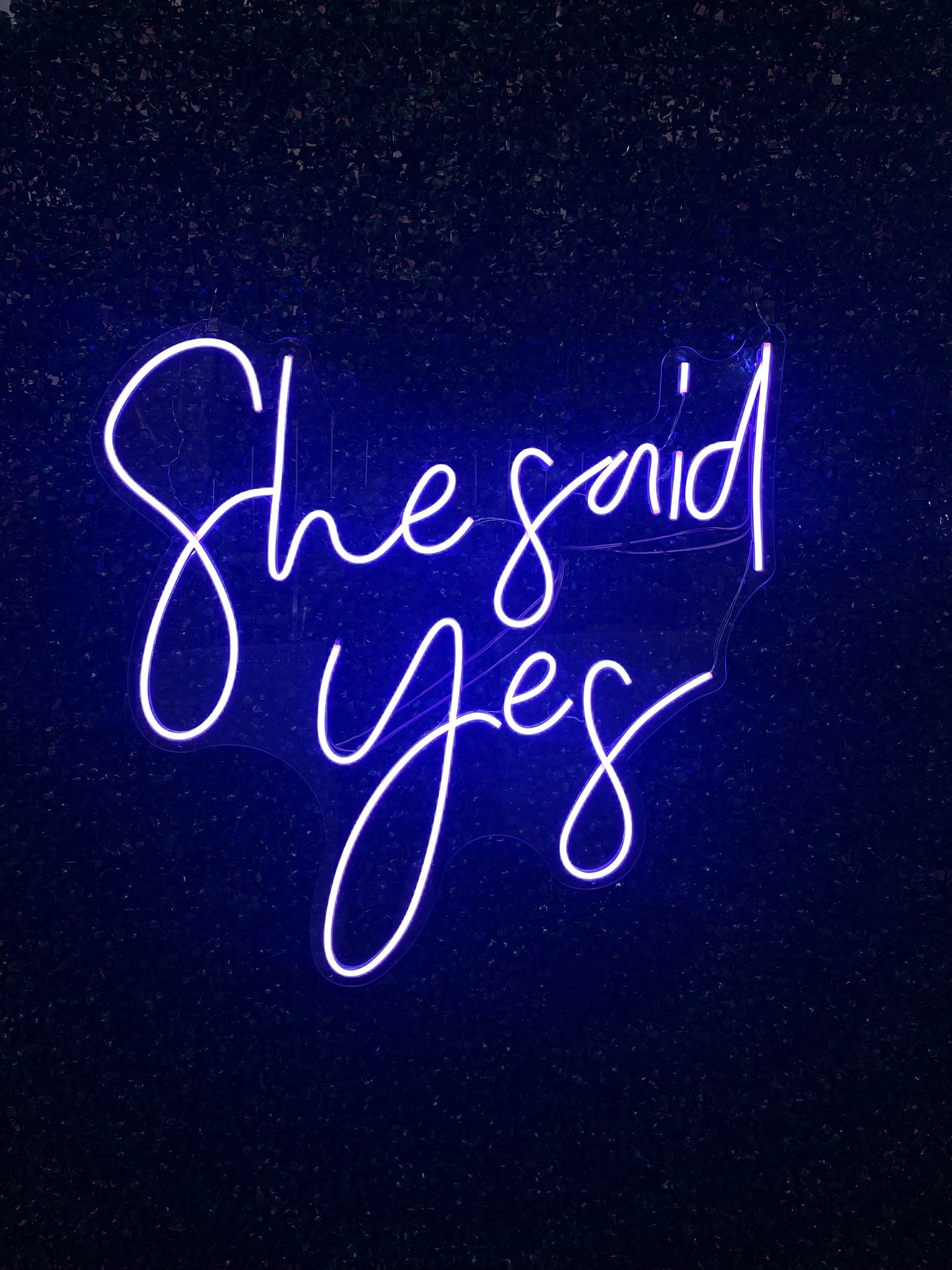Neon Sign "She Said Yes"