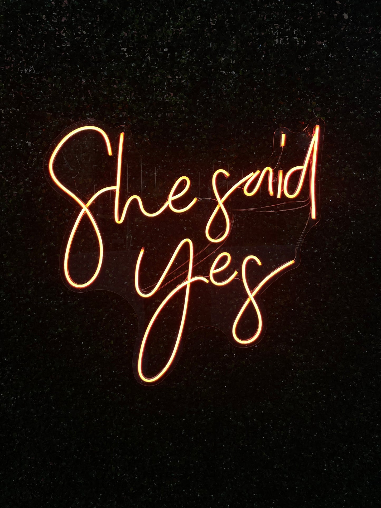 Neon Sign "She Said Yes"