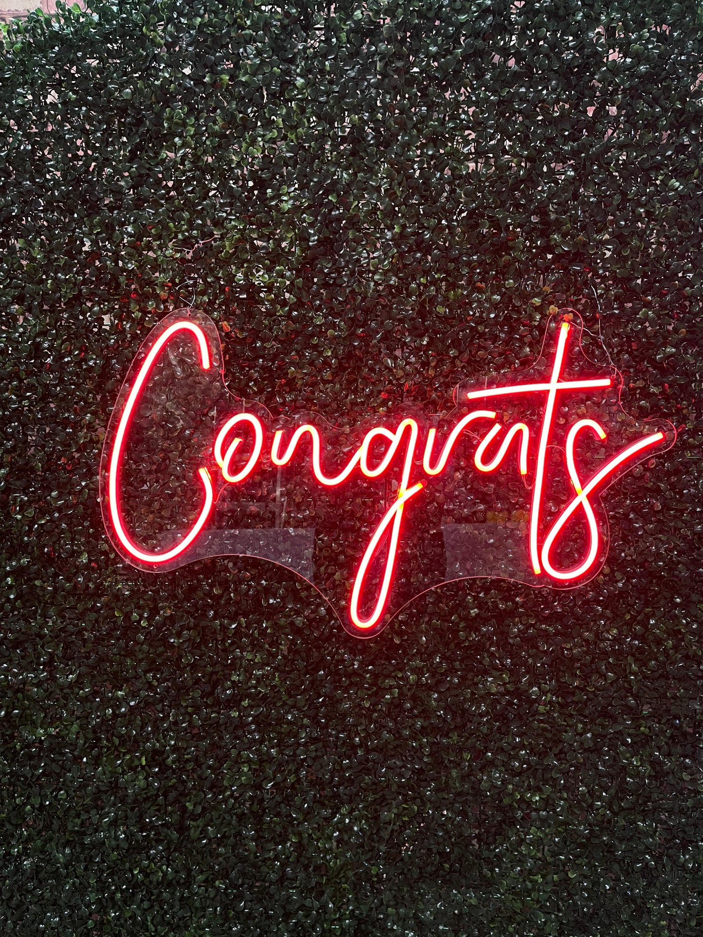 Neon Sign "Congrats"