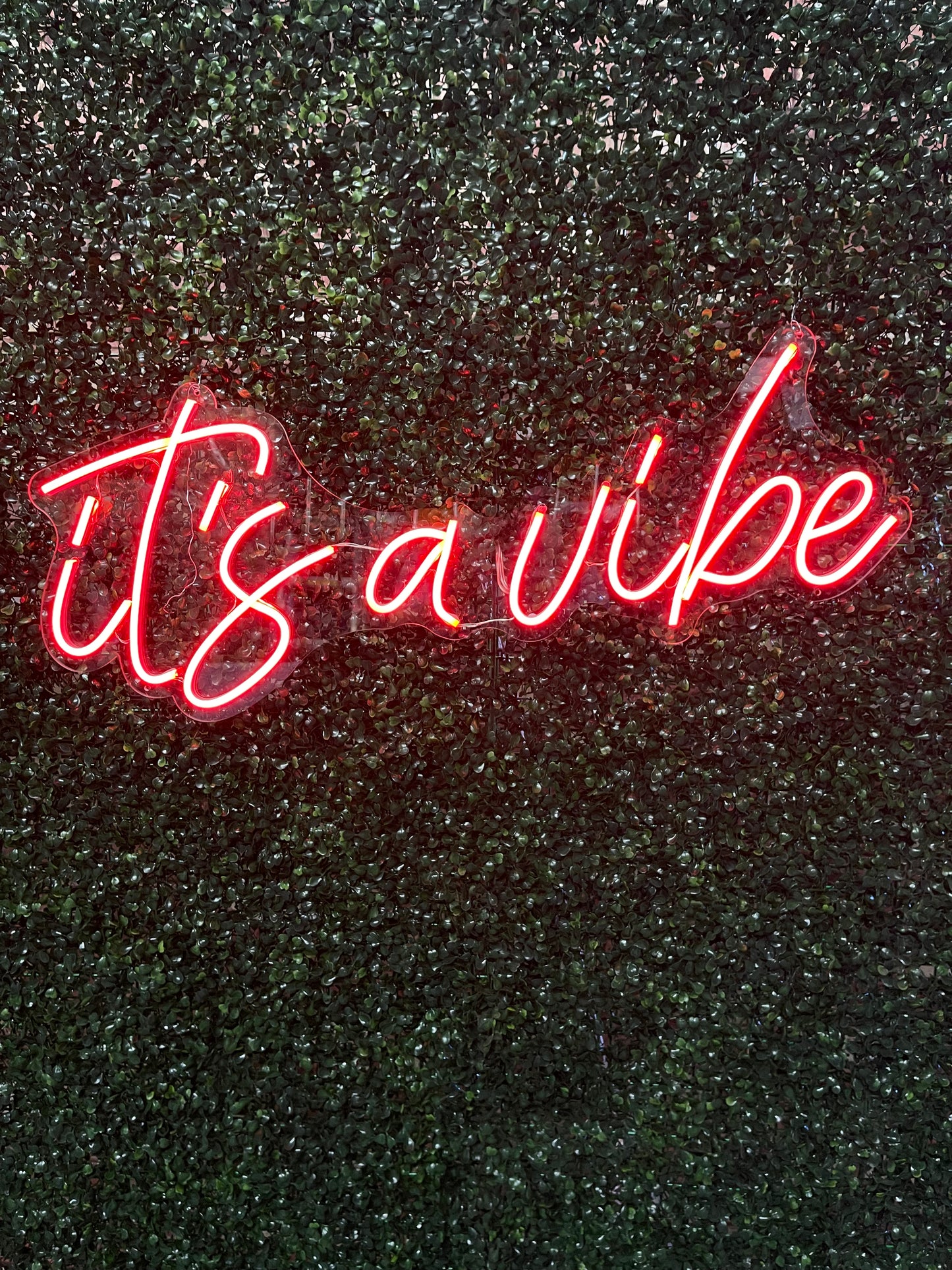 Neon Sign "It's a Vibe"