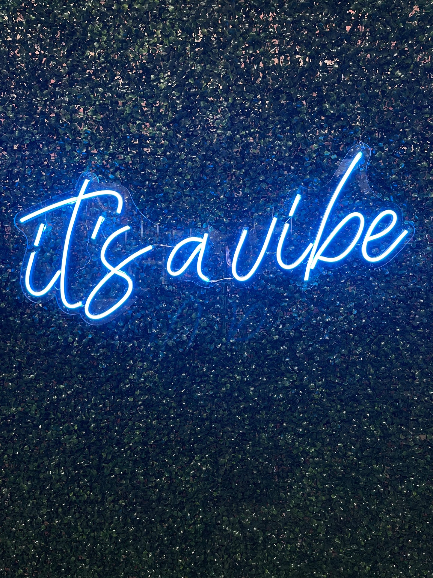 Neon Sign "It's a Vibe"