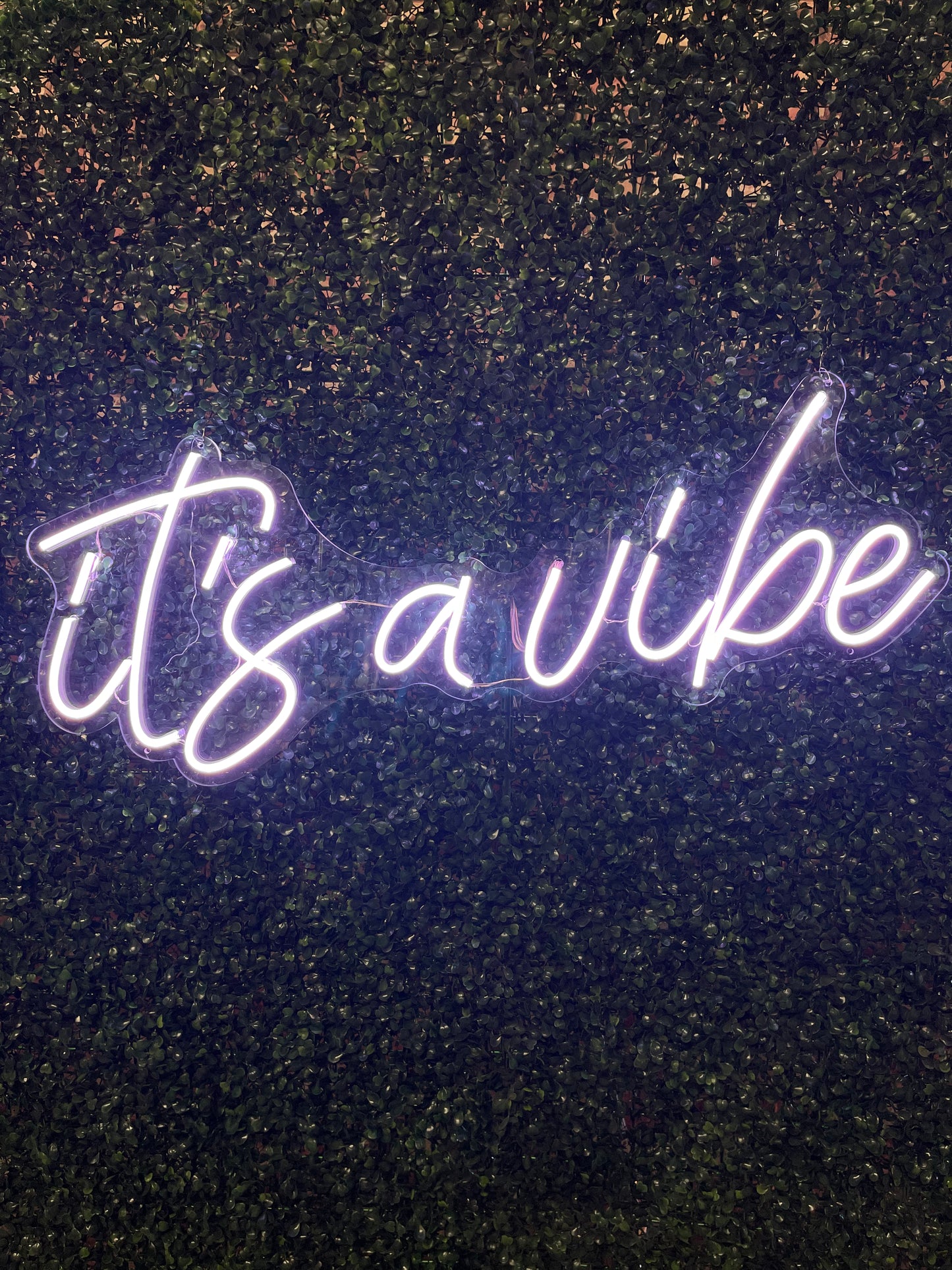 Neon Sign "It's a Vibe"