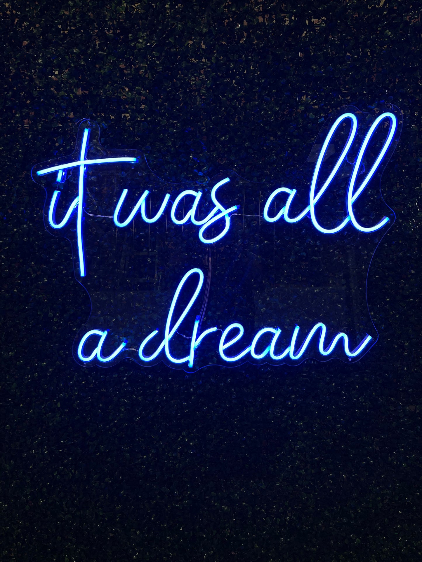 Neon Sign "It Was All a Dream"