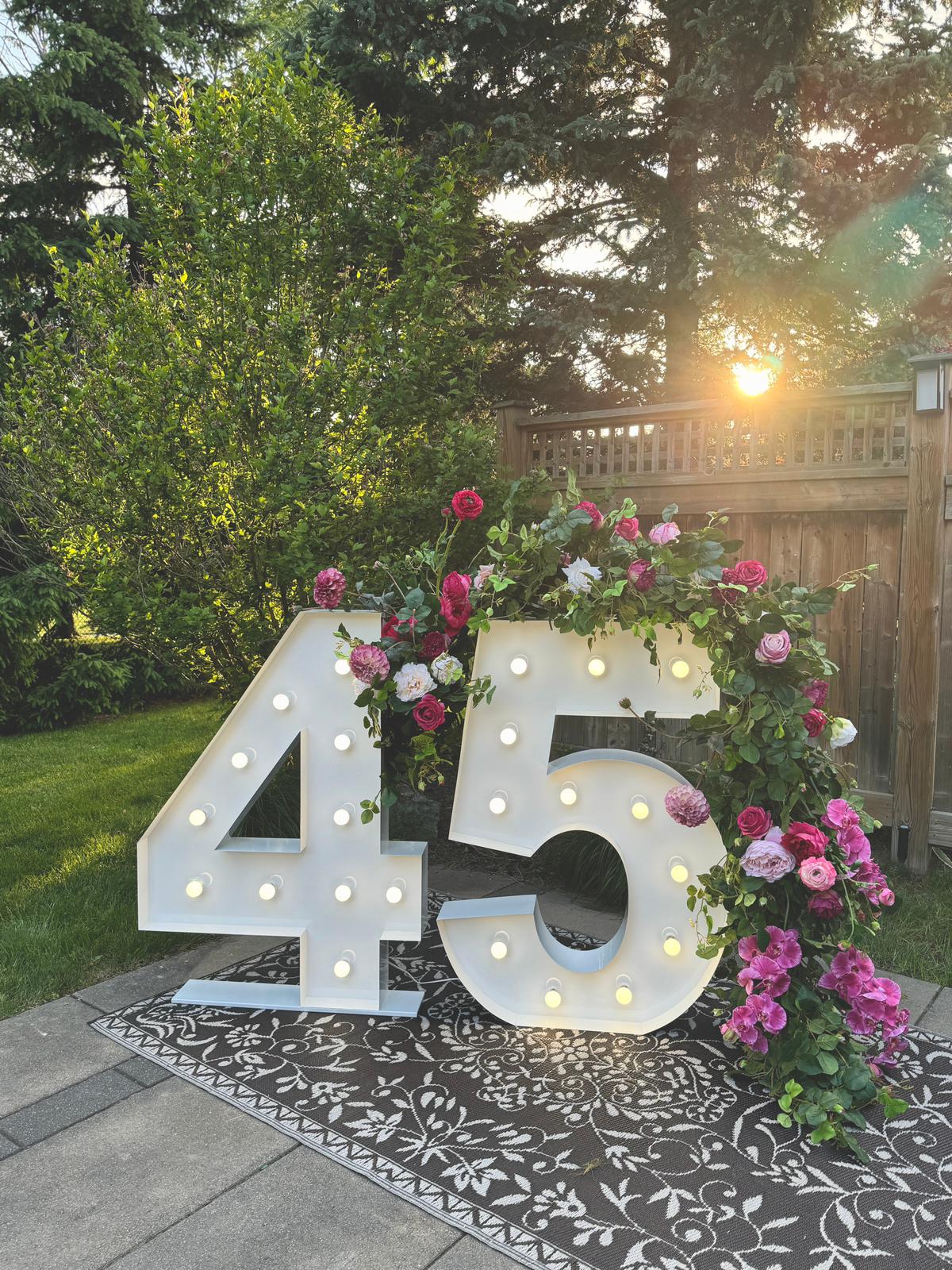 LED Marquee Letters and Numbers